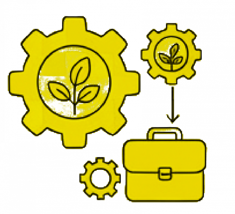 Organizational Development & HR Transformation